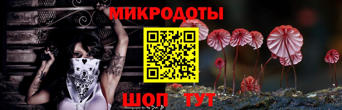 Псилоцибиновые грибы прущие грибы Мелеуз